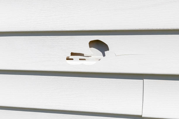 Best Garage Cleanout  in Noblesville, IN