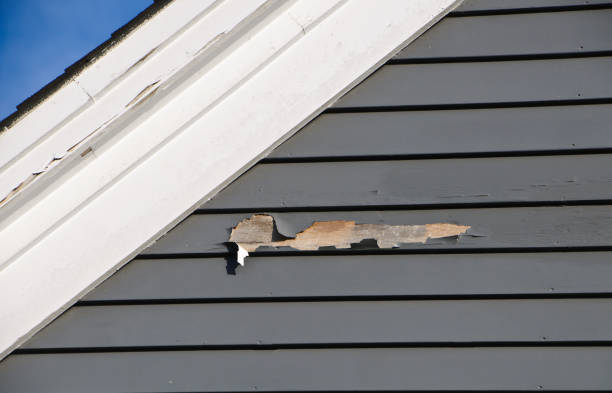 Best Hoarding Cleanup  in Noblesville, IN